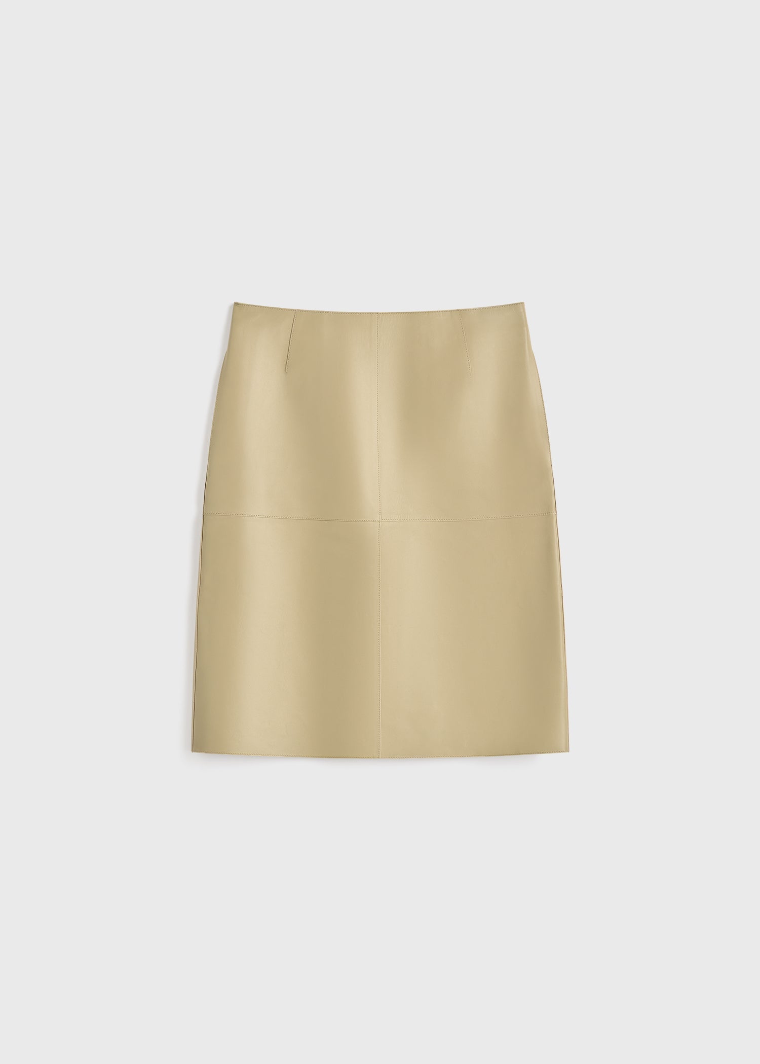 Paneled leather skirt rye